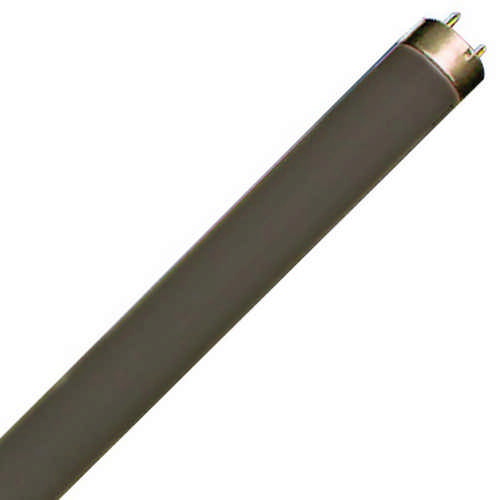 Schwarzlicht-Leuchtstofflampe OMNILUX T5 G5 4 Watt