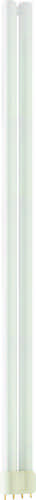 PL-L 80 Watt 830 4P 2G11 - Philips