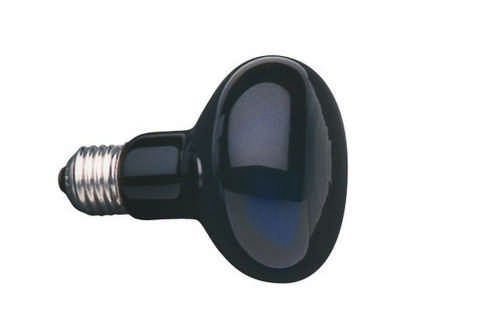 S+H Schwarzlichtlampe R80 80x103mm Sockel E27 240 Volt 75 Watt 